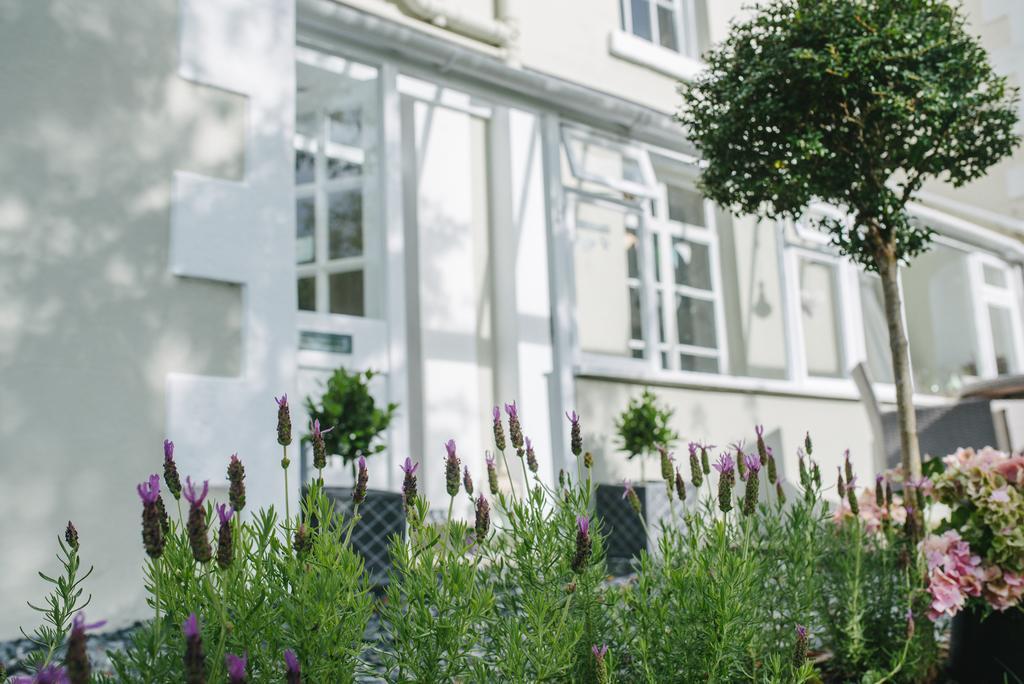 Apple Tree Bed And Breakfast Tavistock  Dış mekan fotoğraf